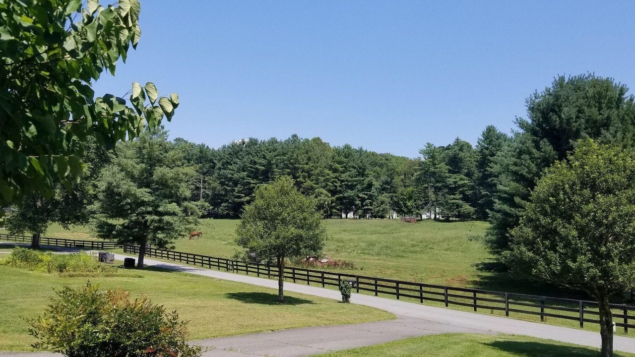 Photo of Outdoor in Candler