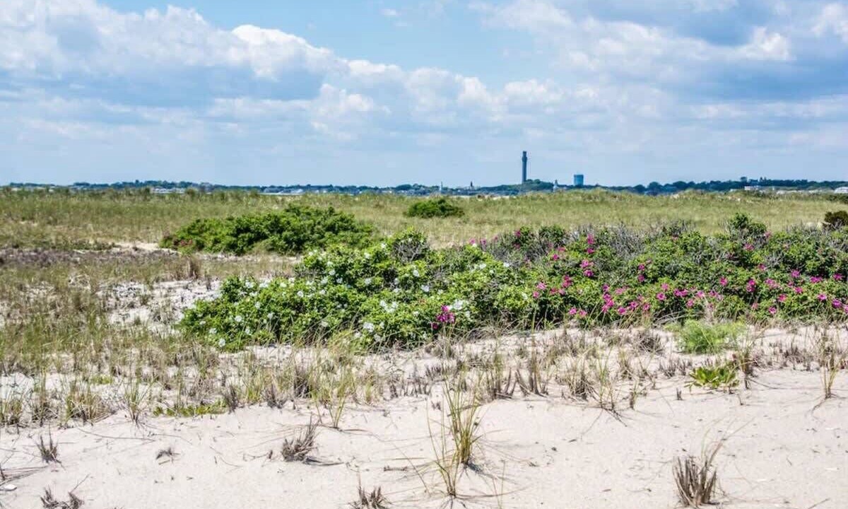 Photo of Others in North Truro