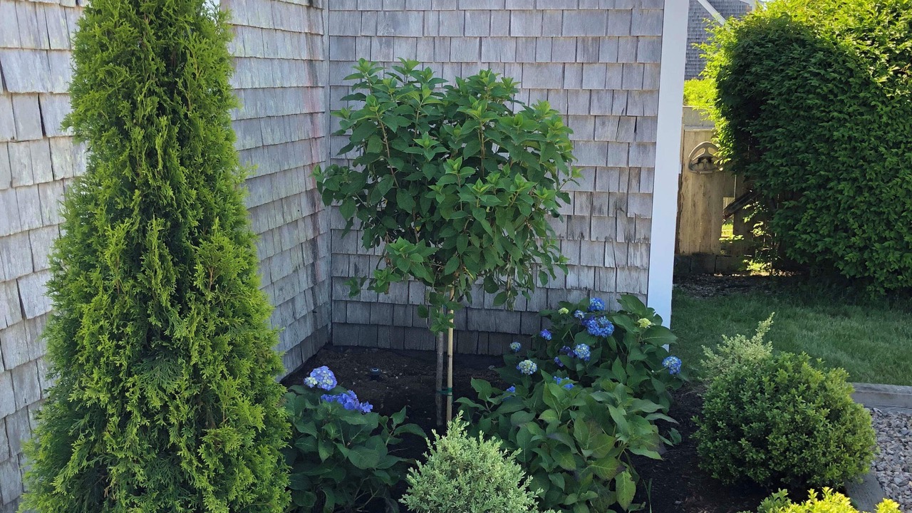 Photo of Outdoor in North Truro