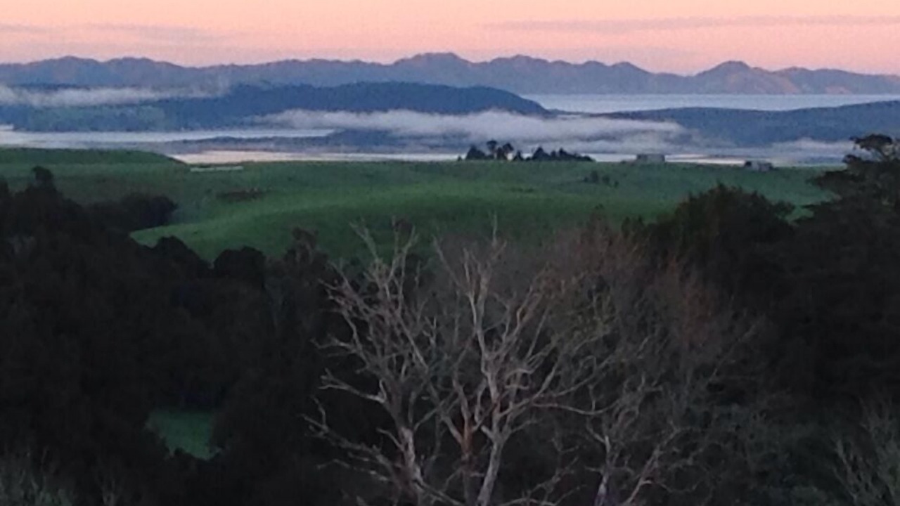 Photo of Others in Raglan