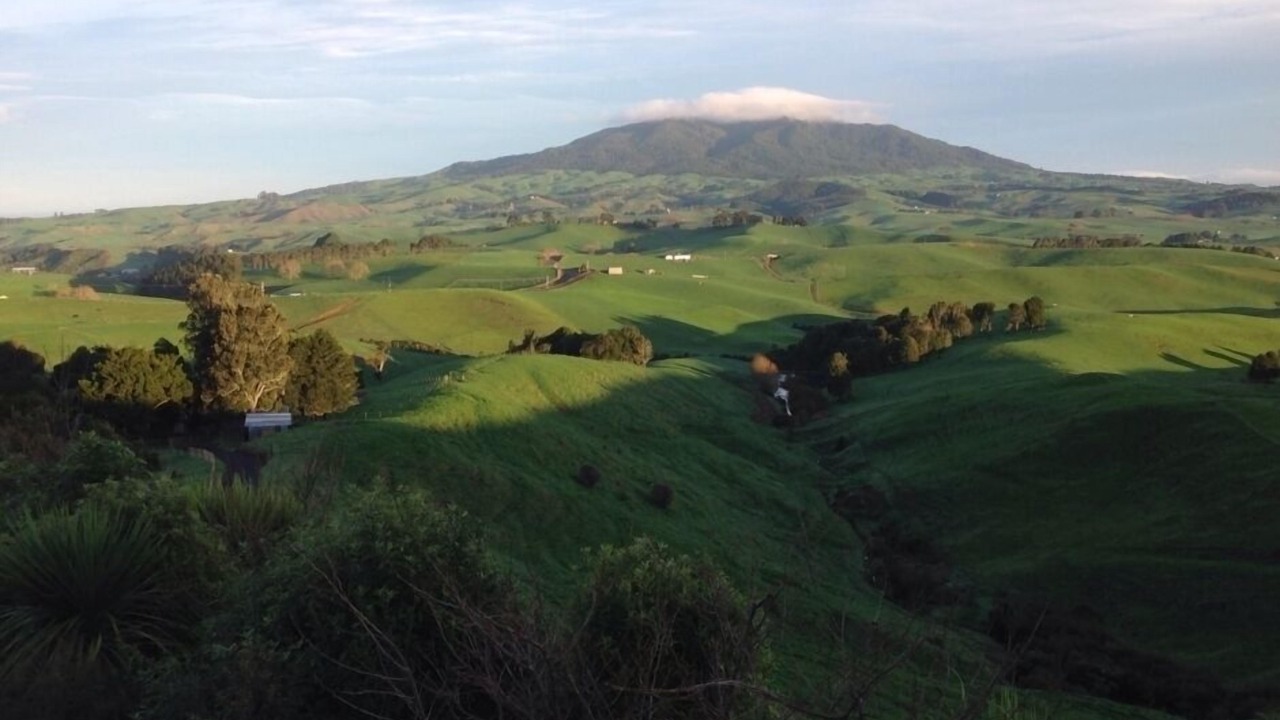 Photo of Others in Raglan