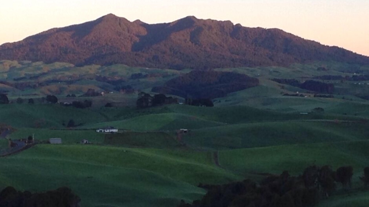 Photo of Others in Raglan