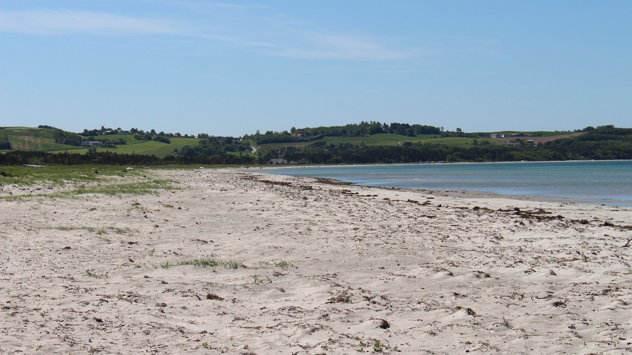 Photo of Others in Hoeve Strand