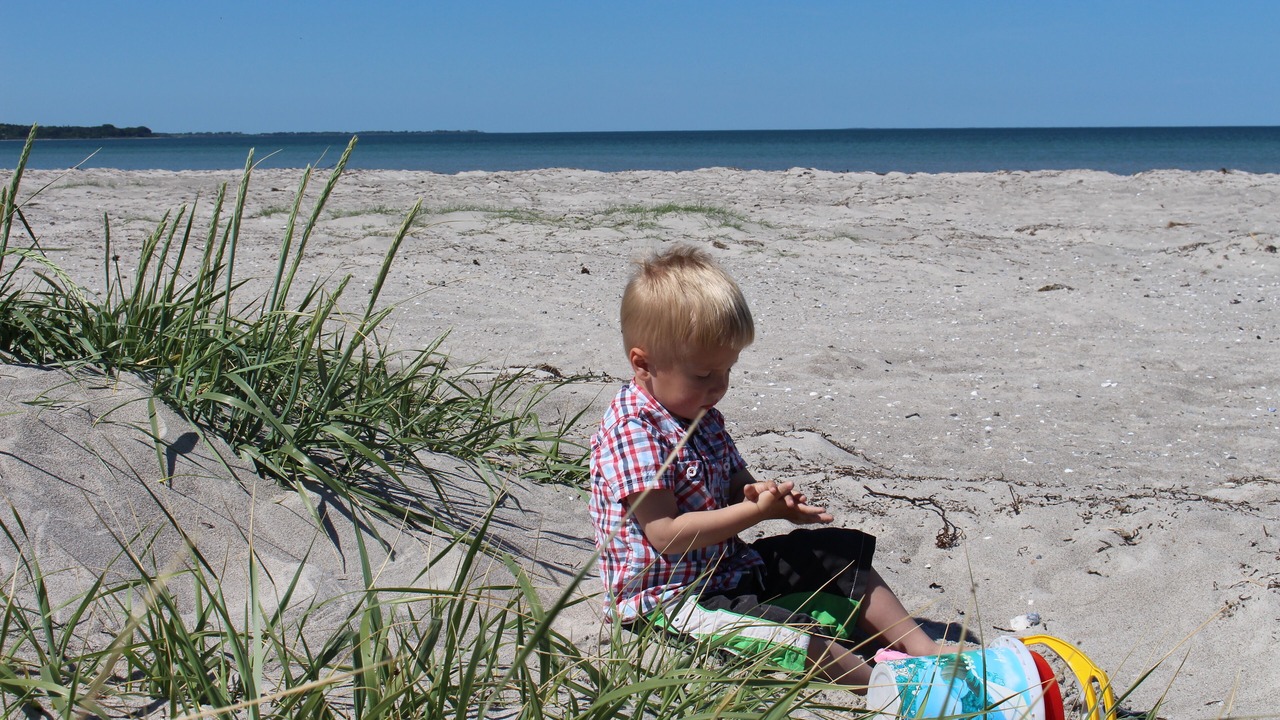 Photo of Others in Hoeve Strand