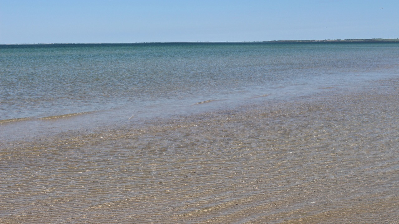 Photo of Others in Hoeve Strand