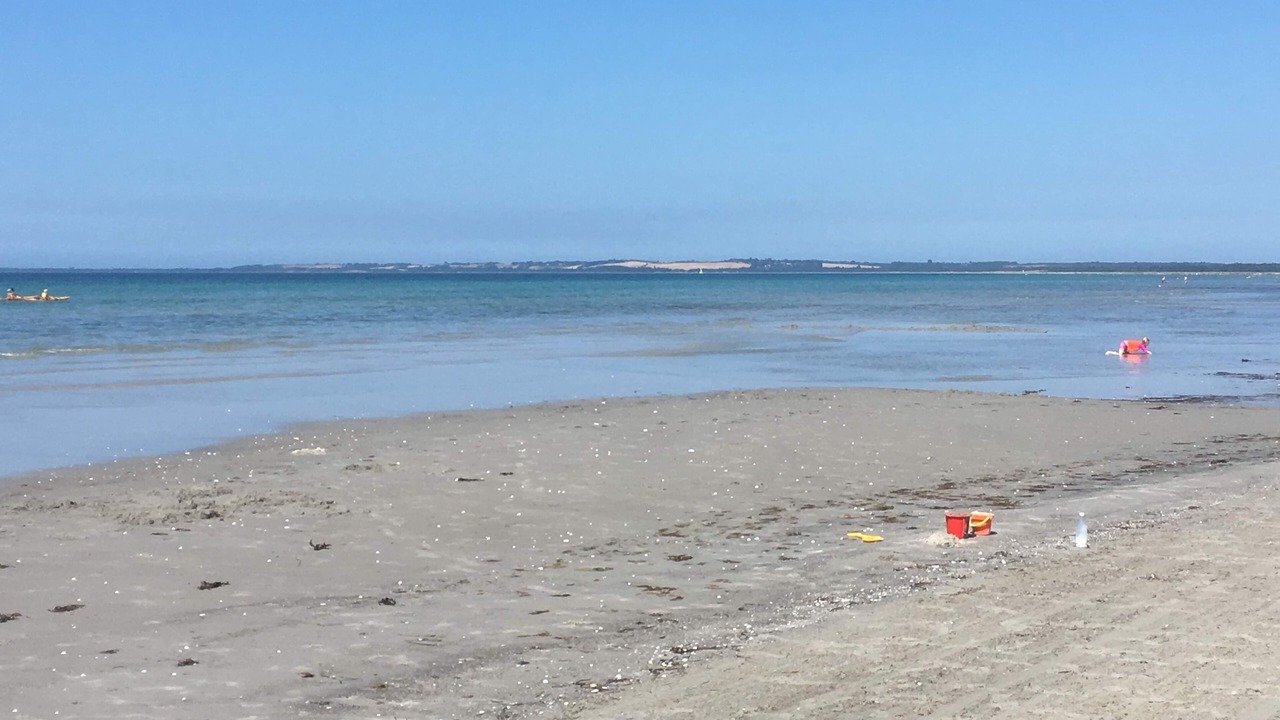 Photo of Others in Hoeve Strand