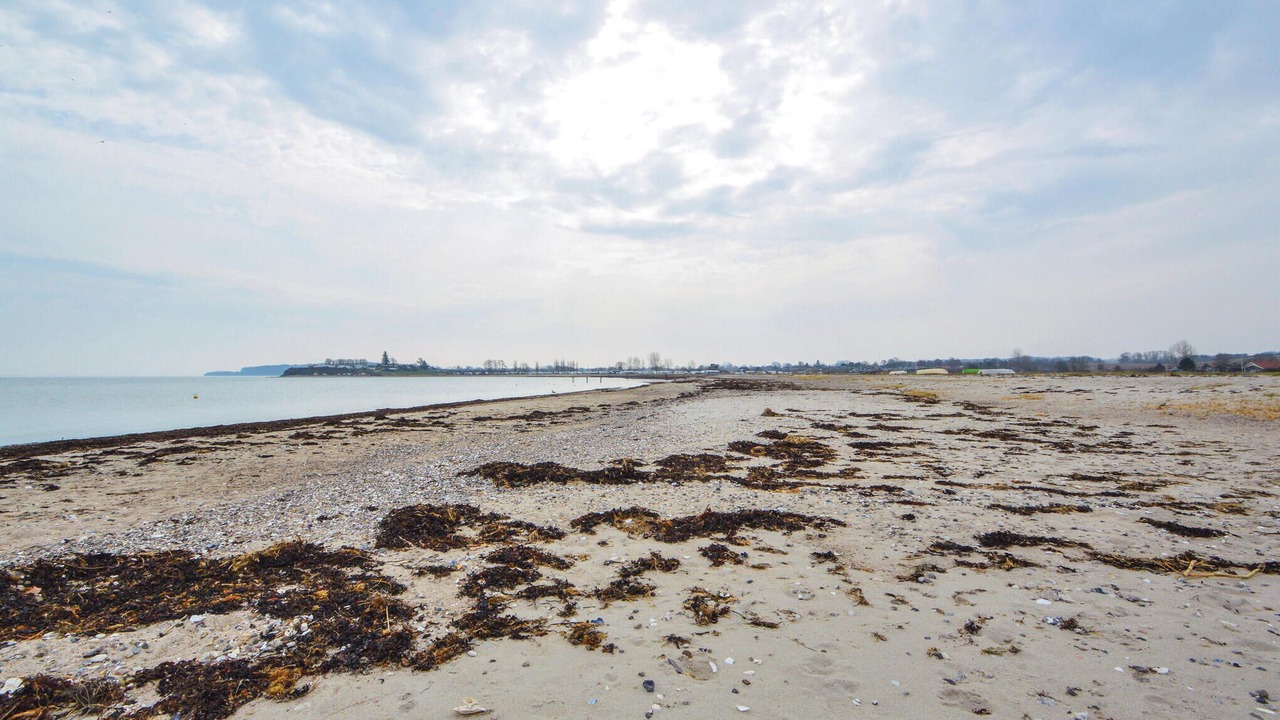 Photo of Others in Diernæs Strandby