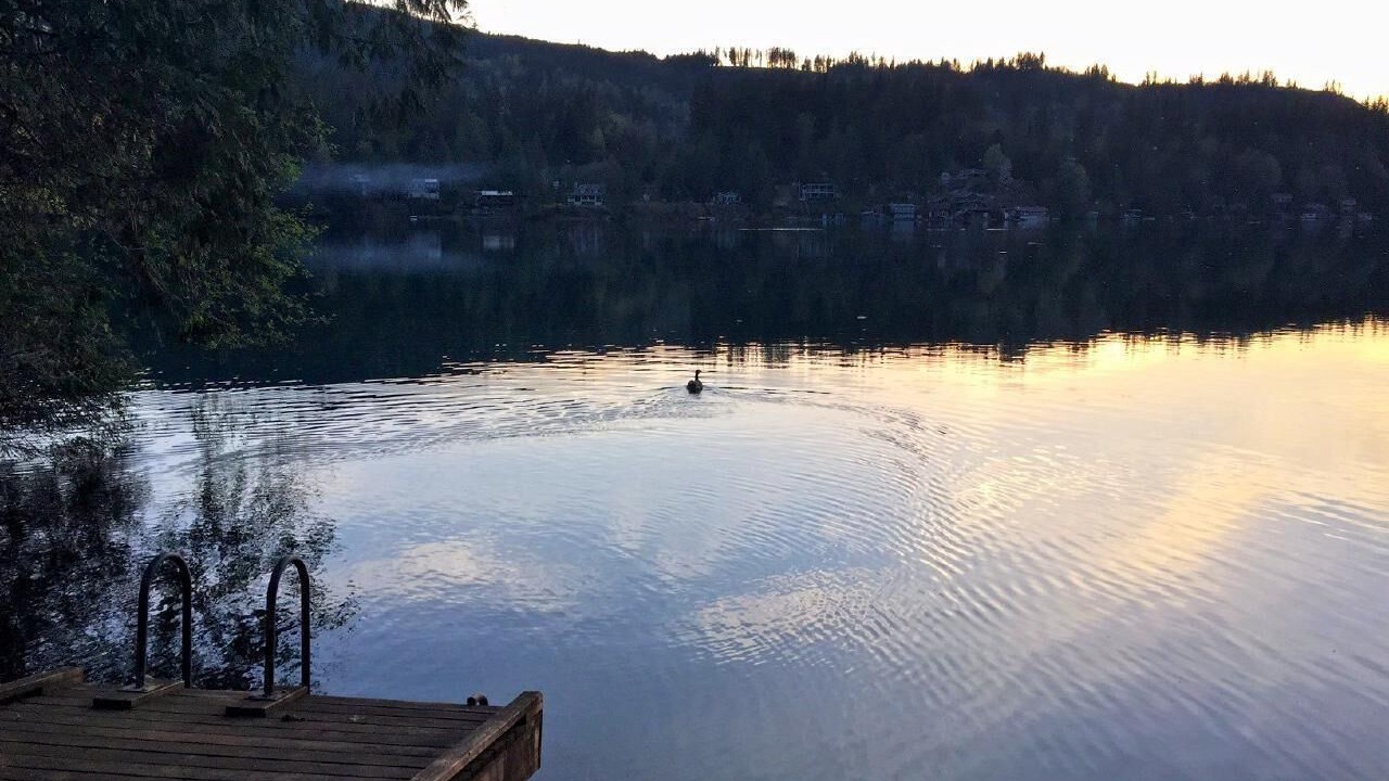 Photo of Others in Maple Falls