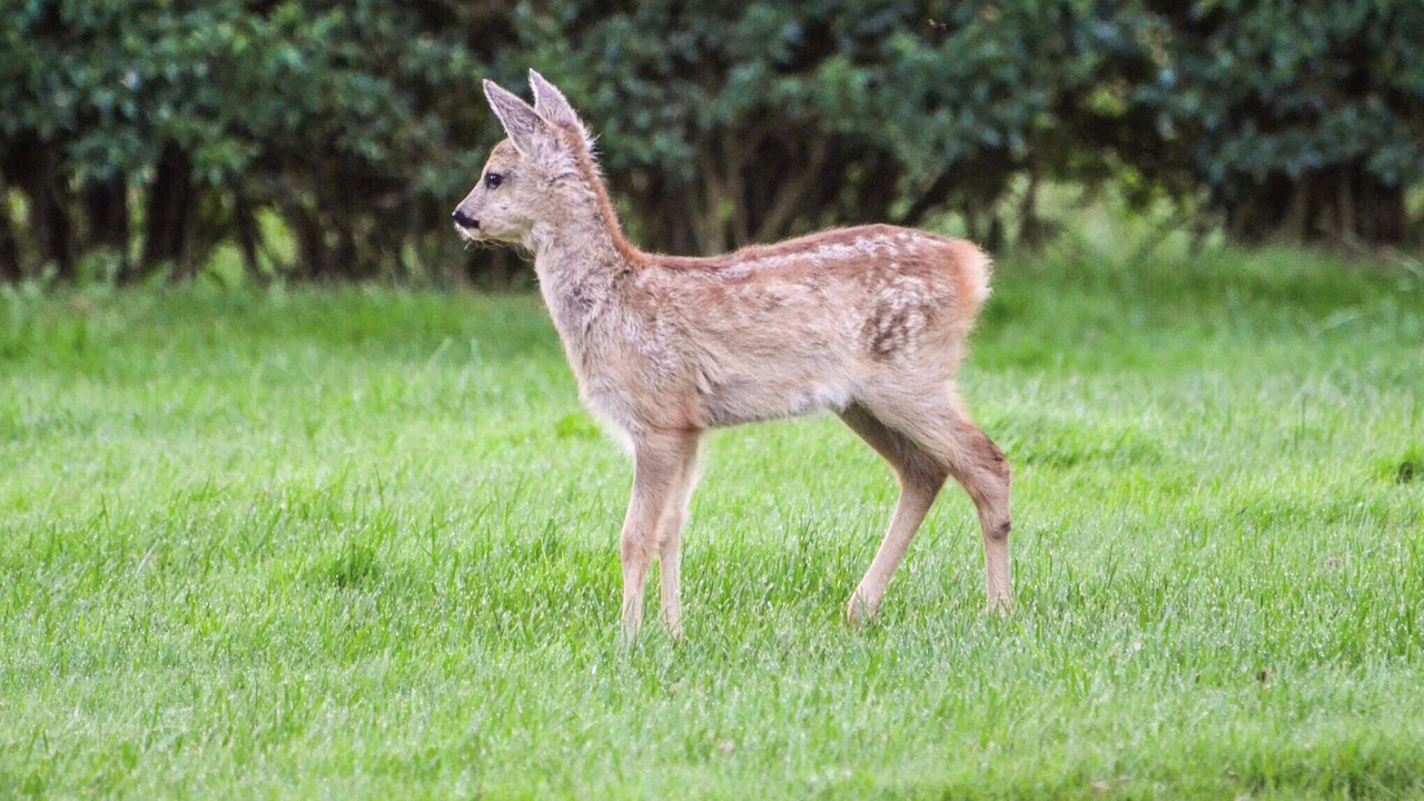 Photo of Others in Helberskov