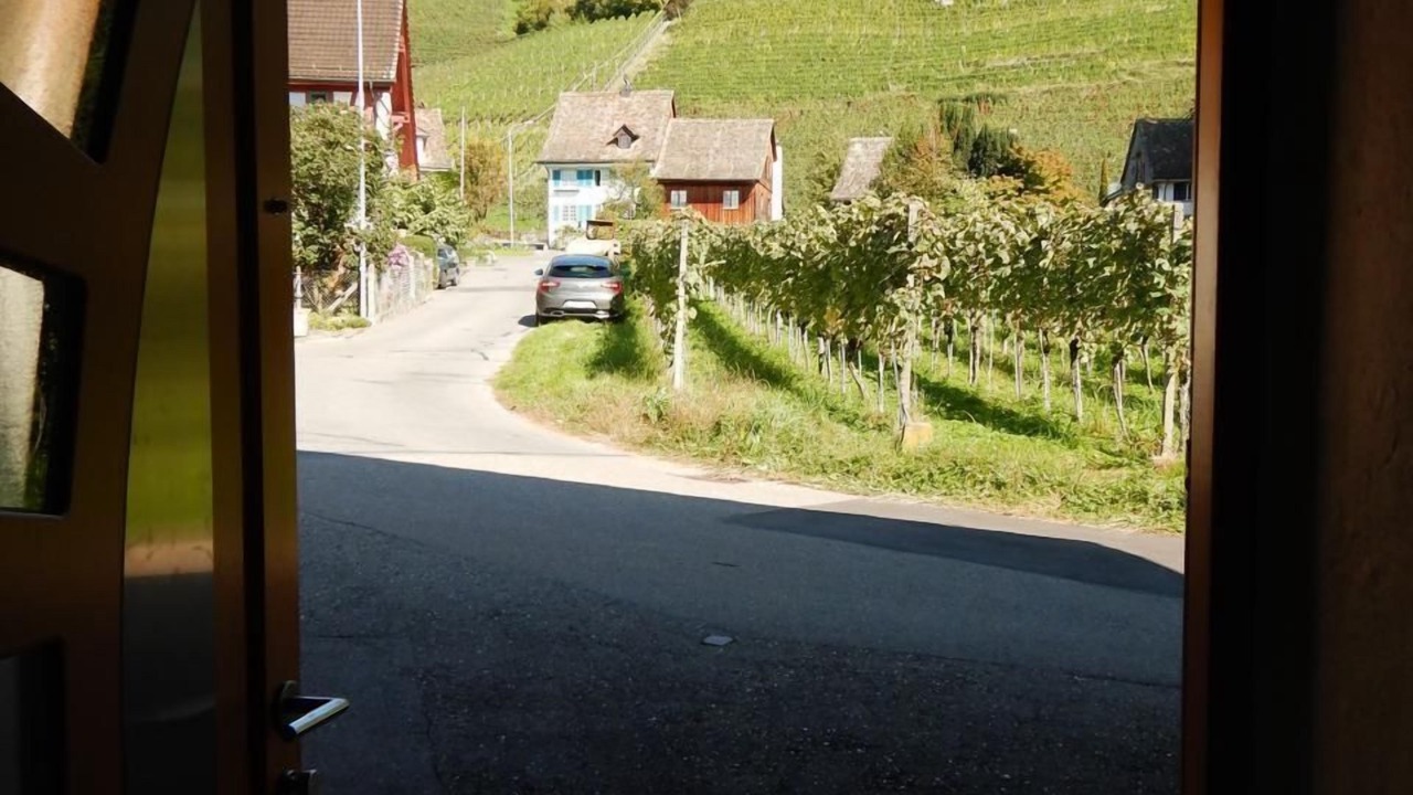 Photo of Others in Meilen District