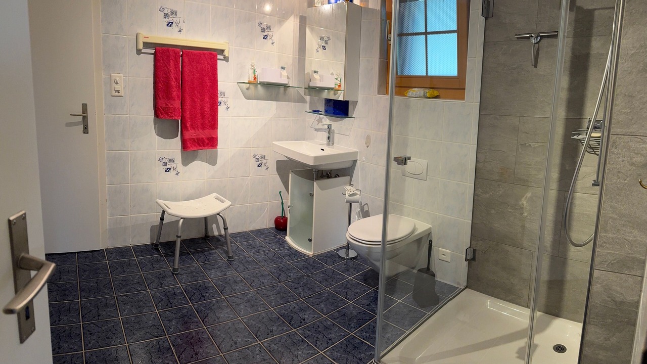 Photo of Bathroom in Meilen District