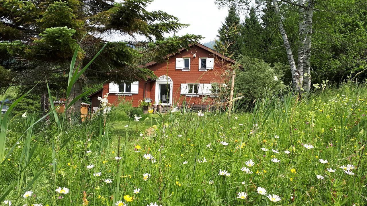 Photo of Others in Wildhaus
