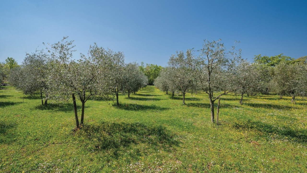 Photo of Outdoor in Kastel
