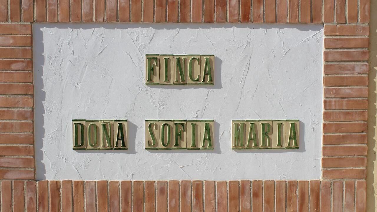 Photo of Outdoor in San Pedro del Pinatar