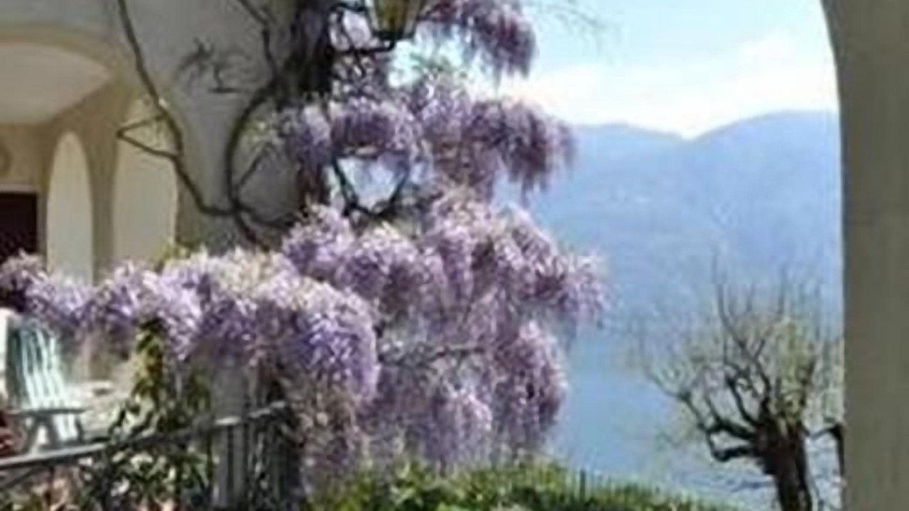 Photo of Others in Ronco sopra Ascona