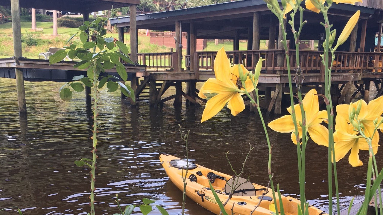 Photo of Outdoor in Hemphill