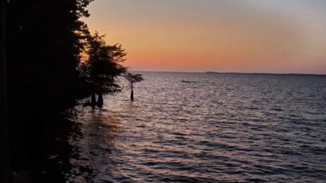 Photo of Others in Hemphill