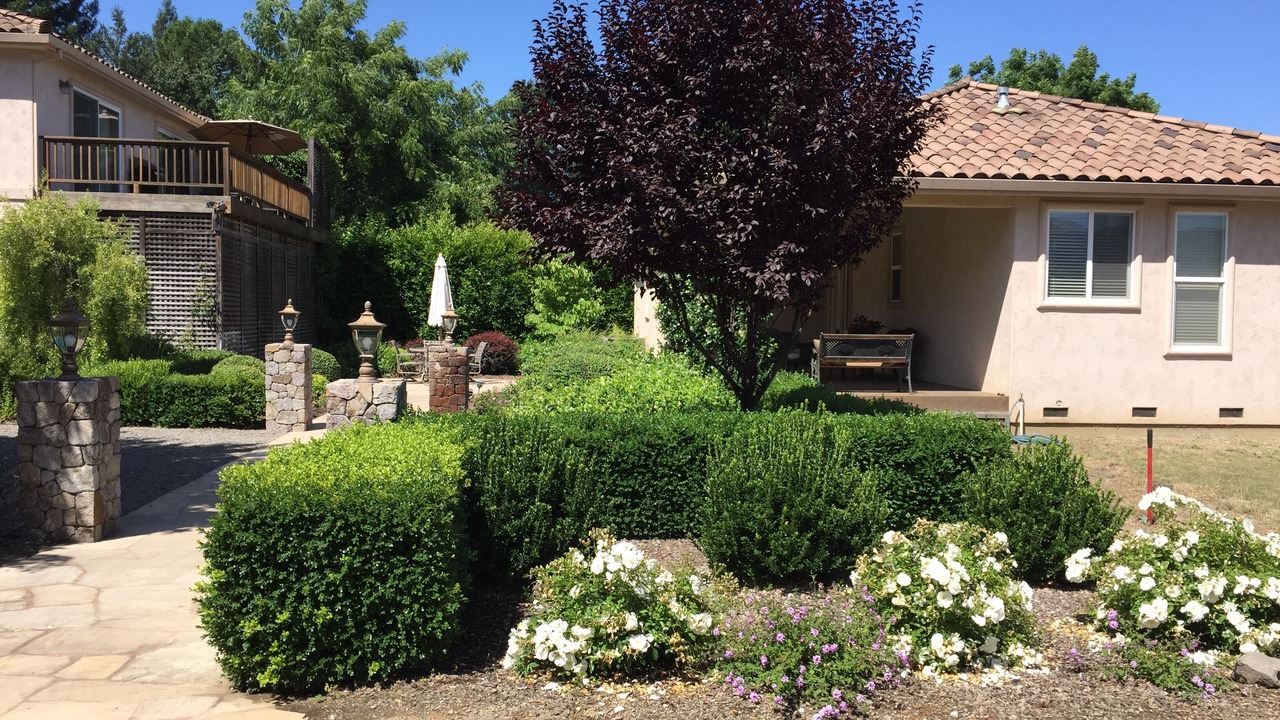 Photo of Outdoor in Napa