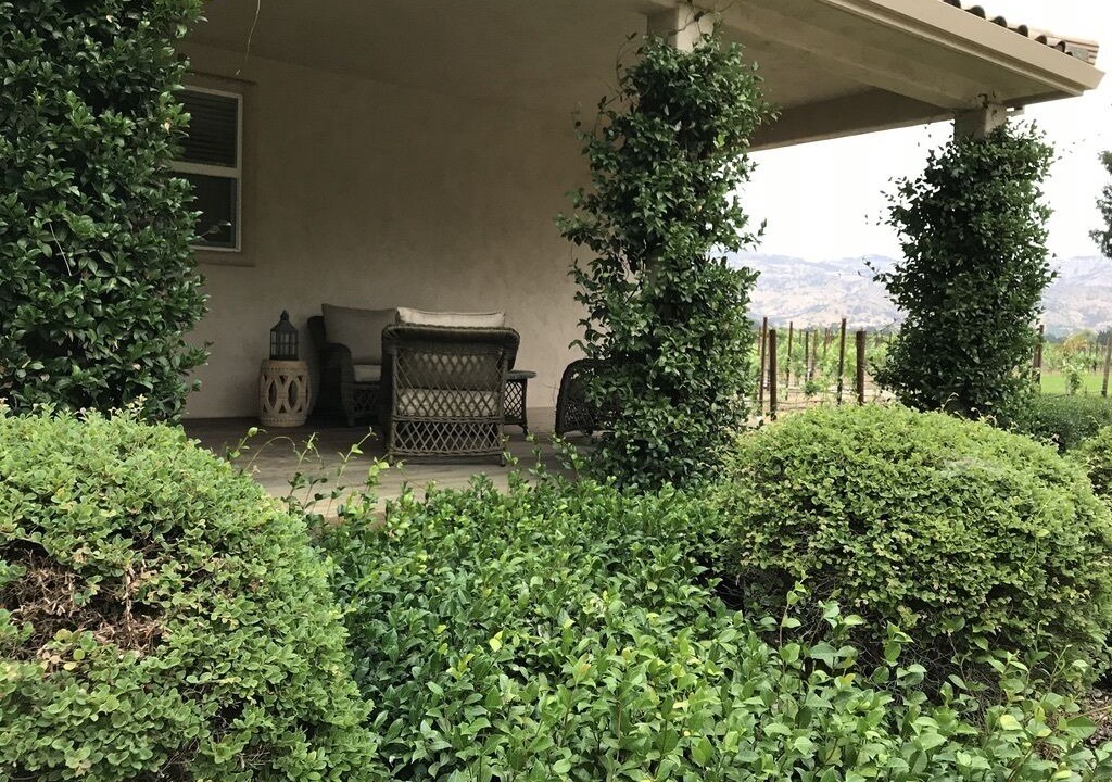 Photo of Outdoor in Napa