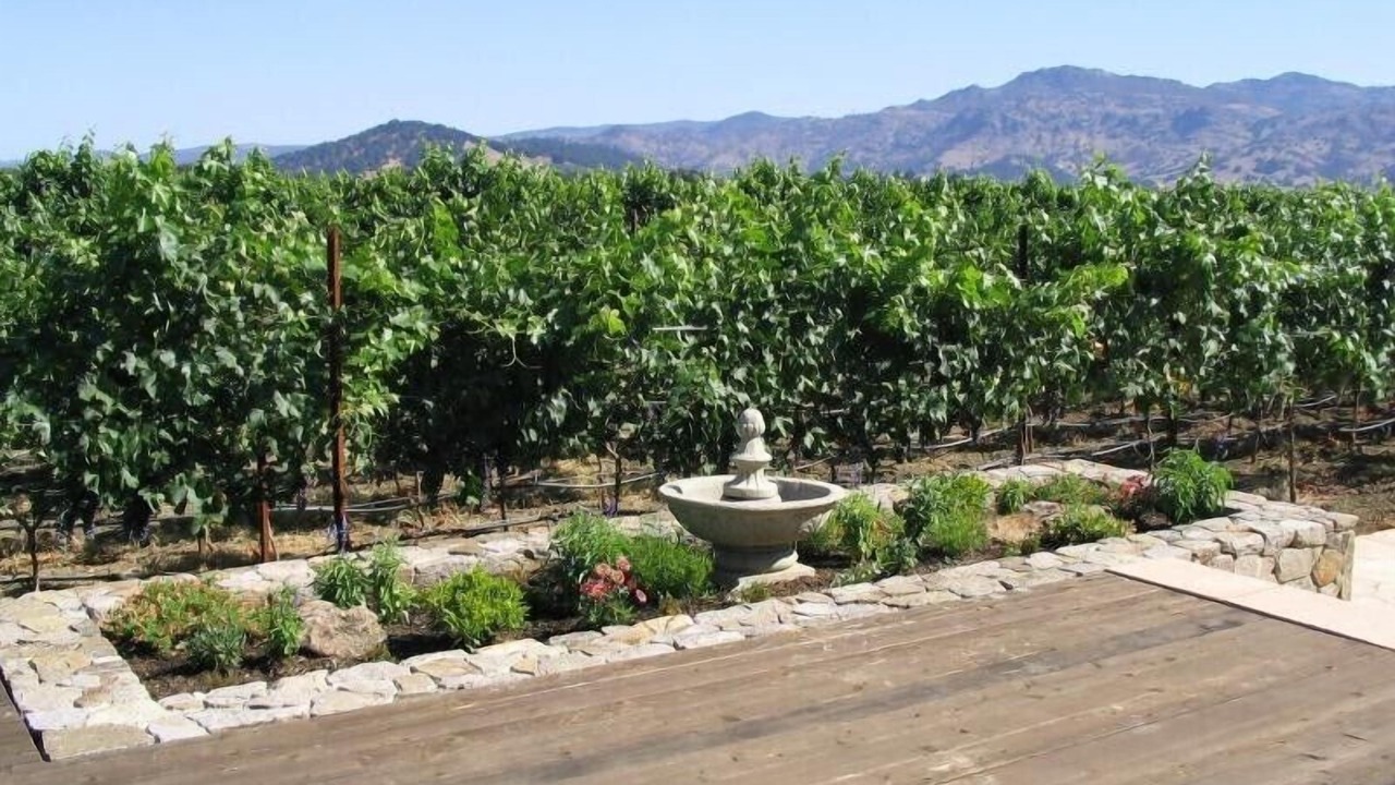 Photo of Others in Napa
