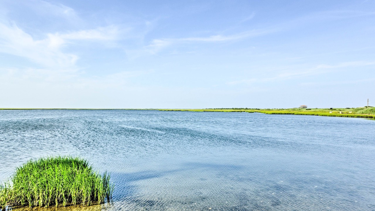 Photo of Others in Brigantine