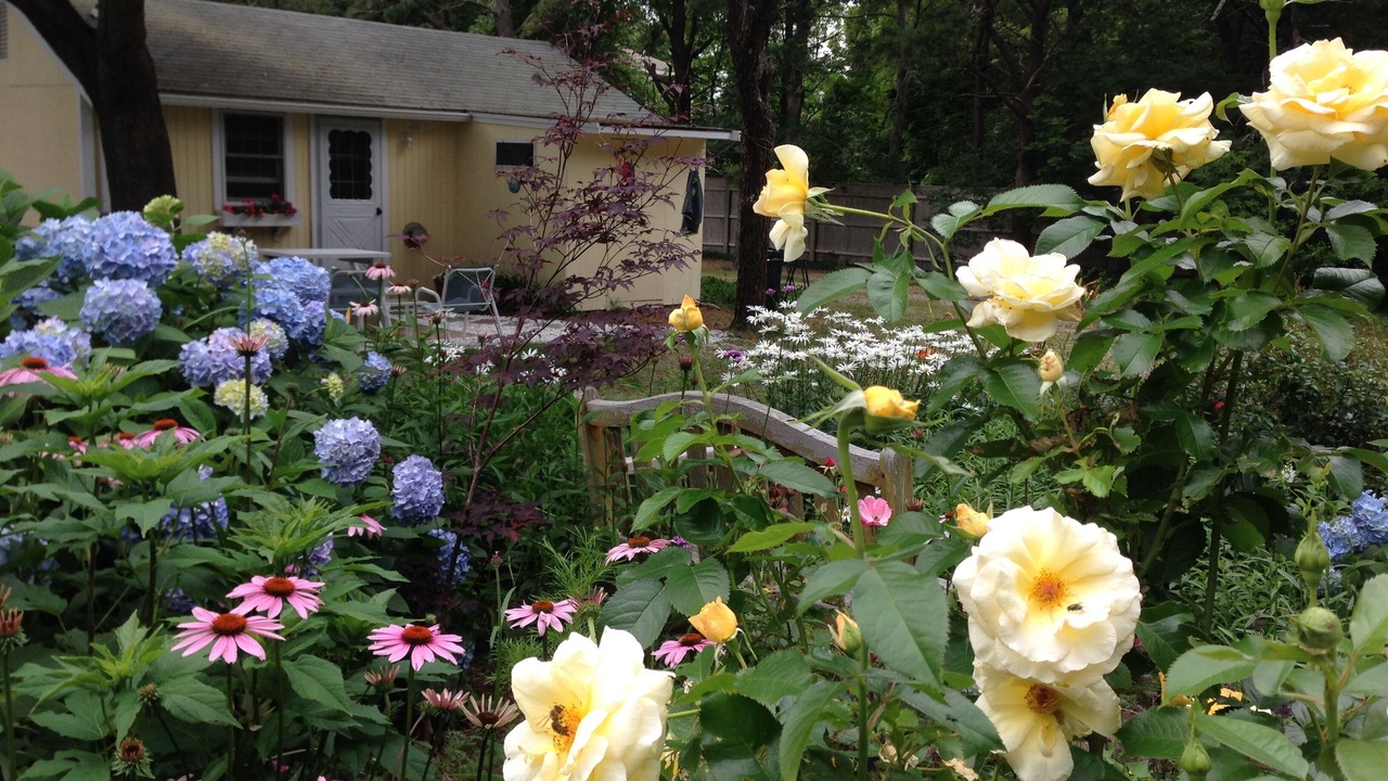Photo of Outdoor in Brewster