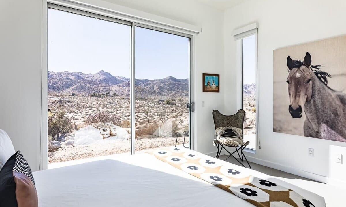 Photo of Others in Joshua Tree