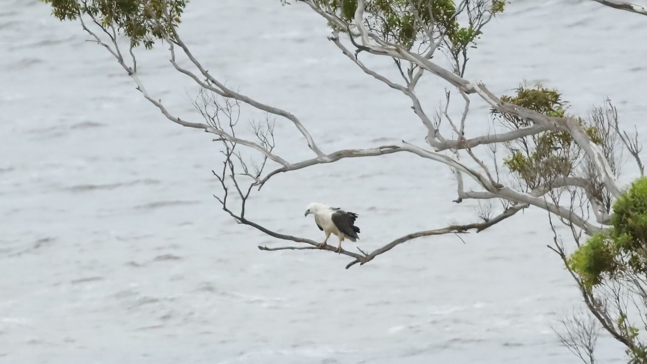 Photo of Others in Metung