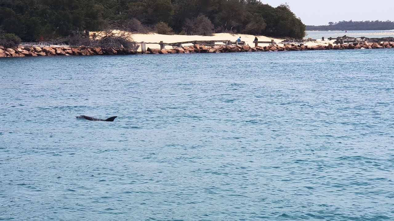 Photo of Others in Metung