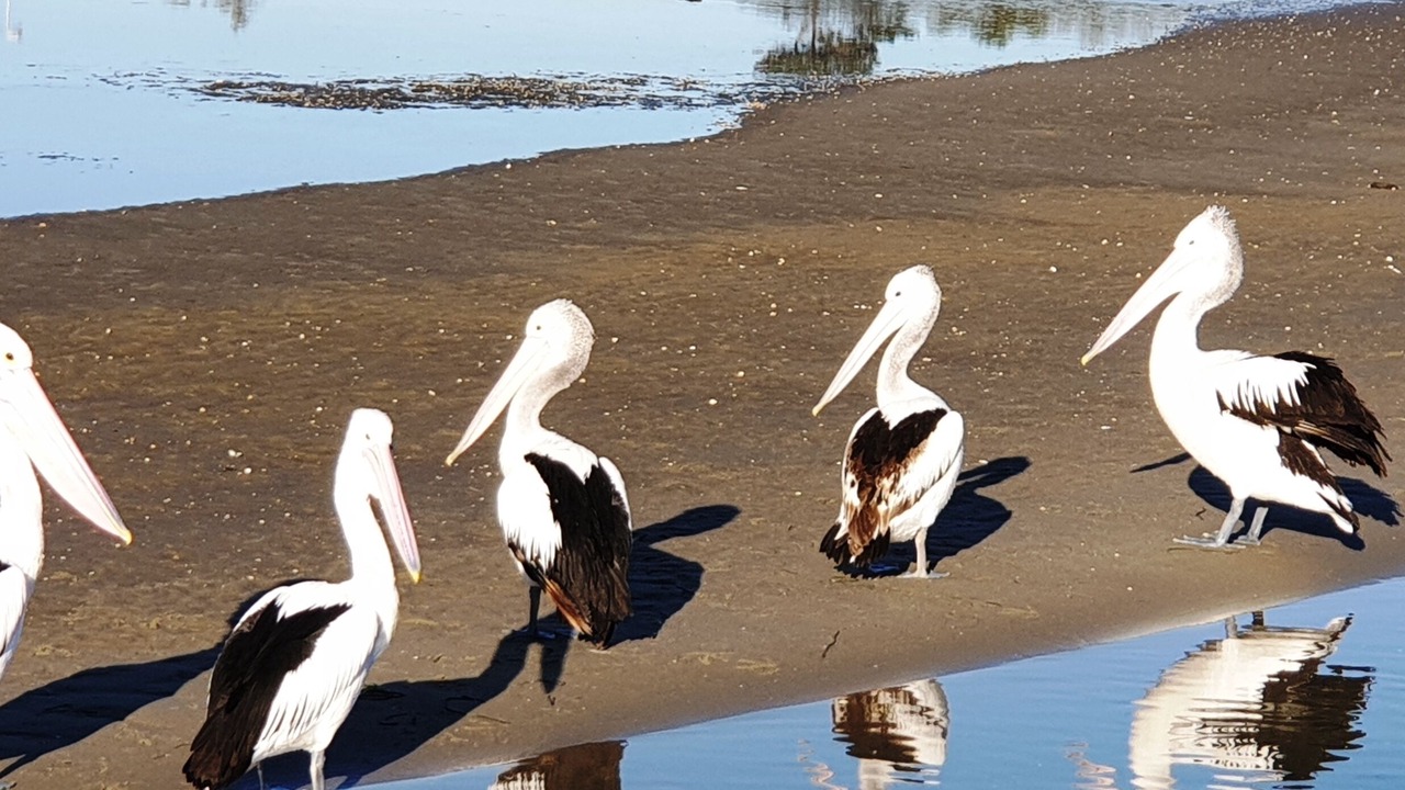 Photo of Others in Metung