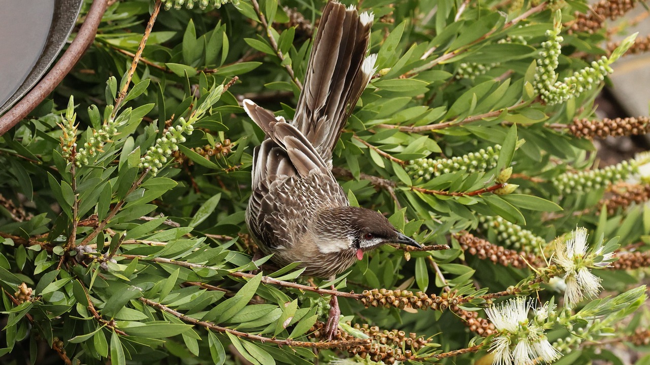 Photo of Outdoor in Metung