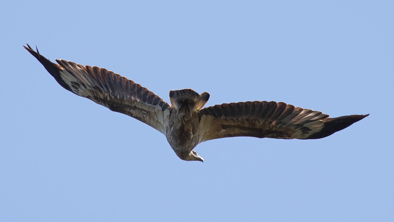 Photo of Outdoor in Metung