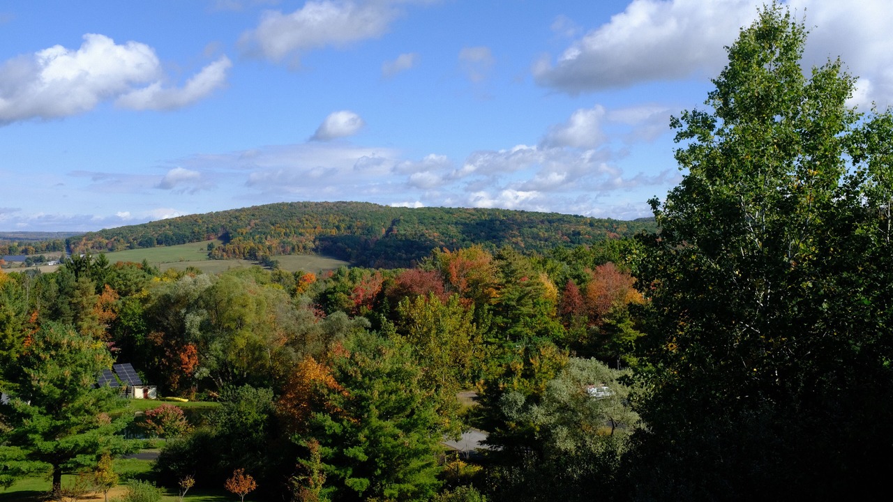 Photo of Others in Ithaca
