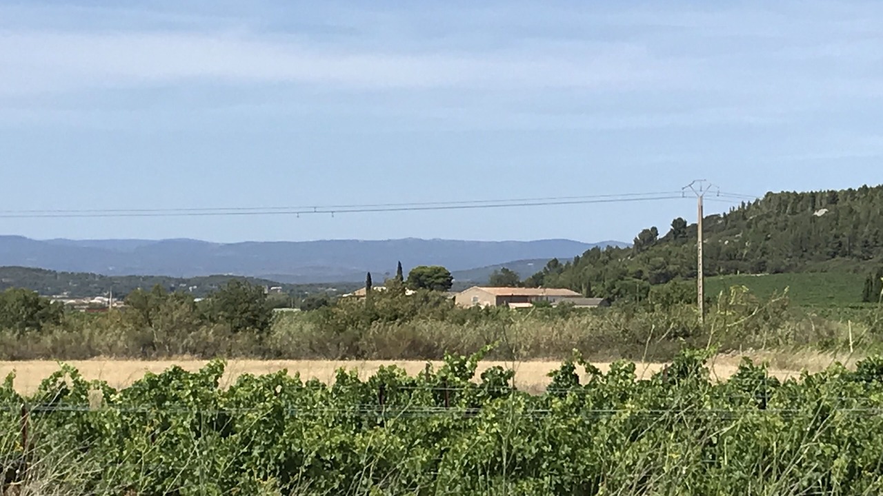 Photo of Others in Boutenac