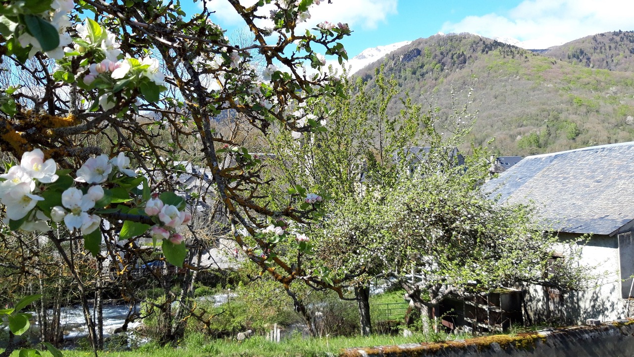 Photo of Outdoor in Arreau