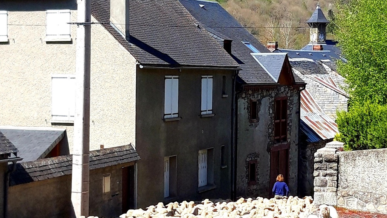 Photo of Outdoor in Arreau