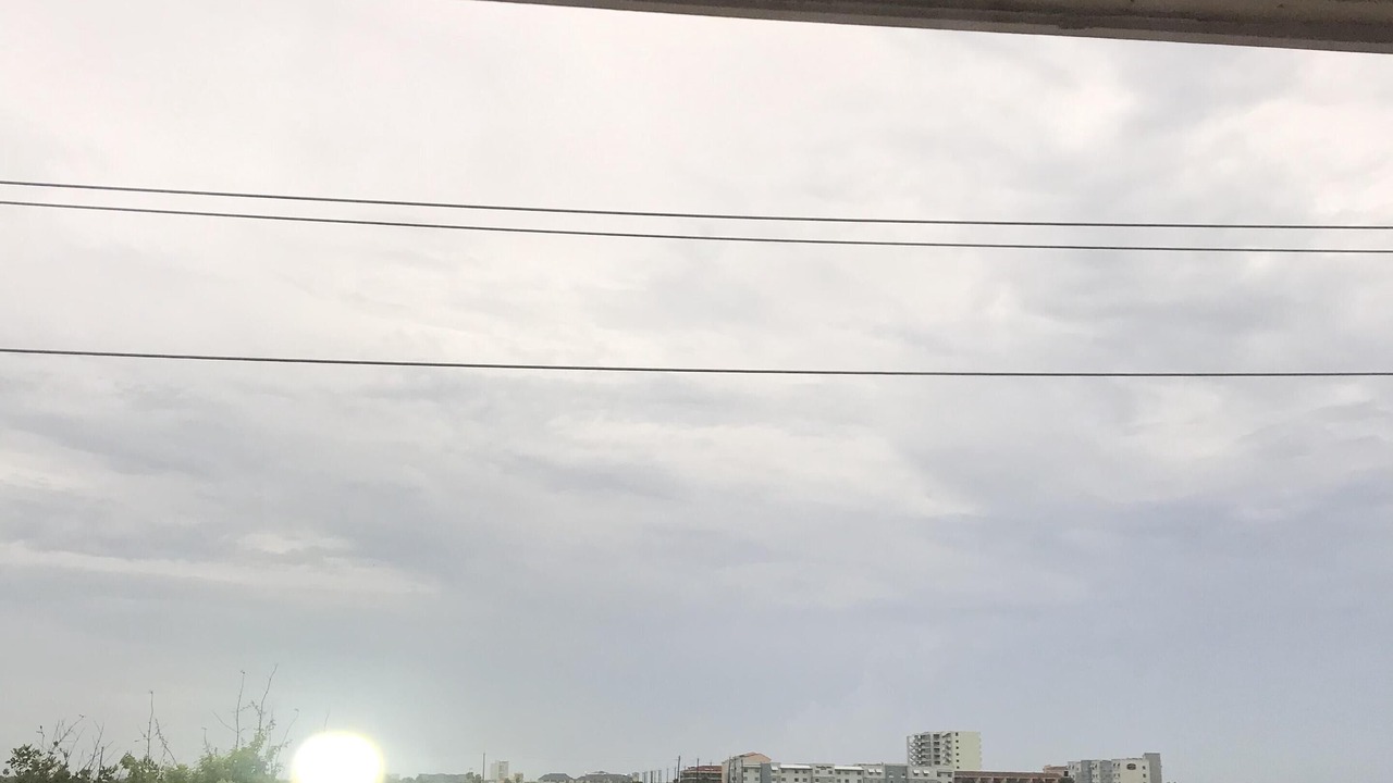 Photo of Others in Galveston