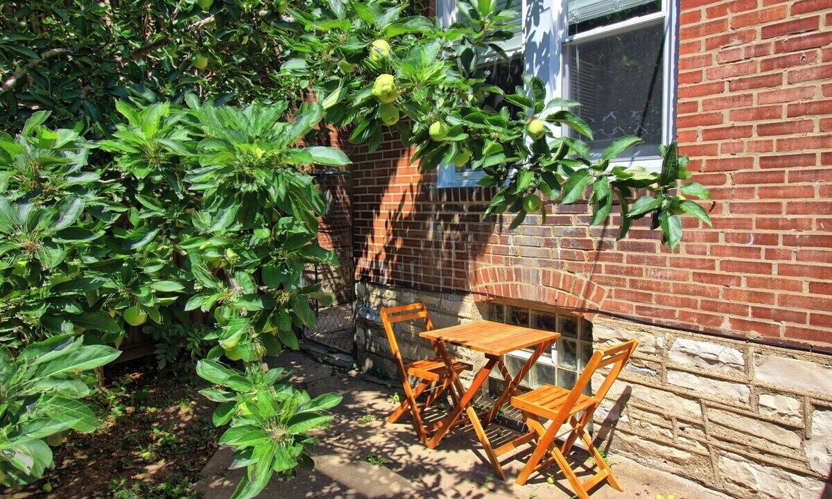 Photo of Outdoor in Tower Grove South