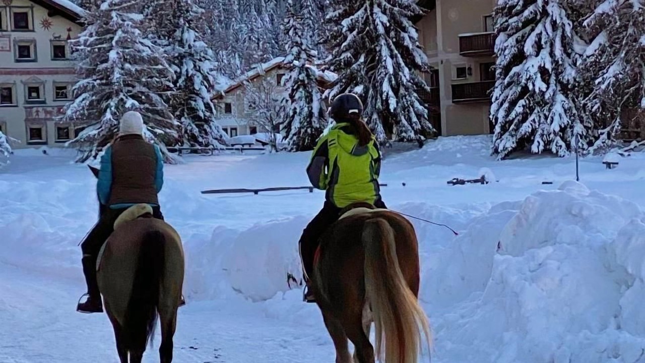 Photo of Others in La Punt-Chamues-ch
