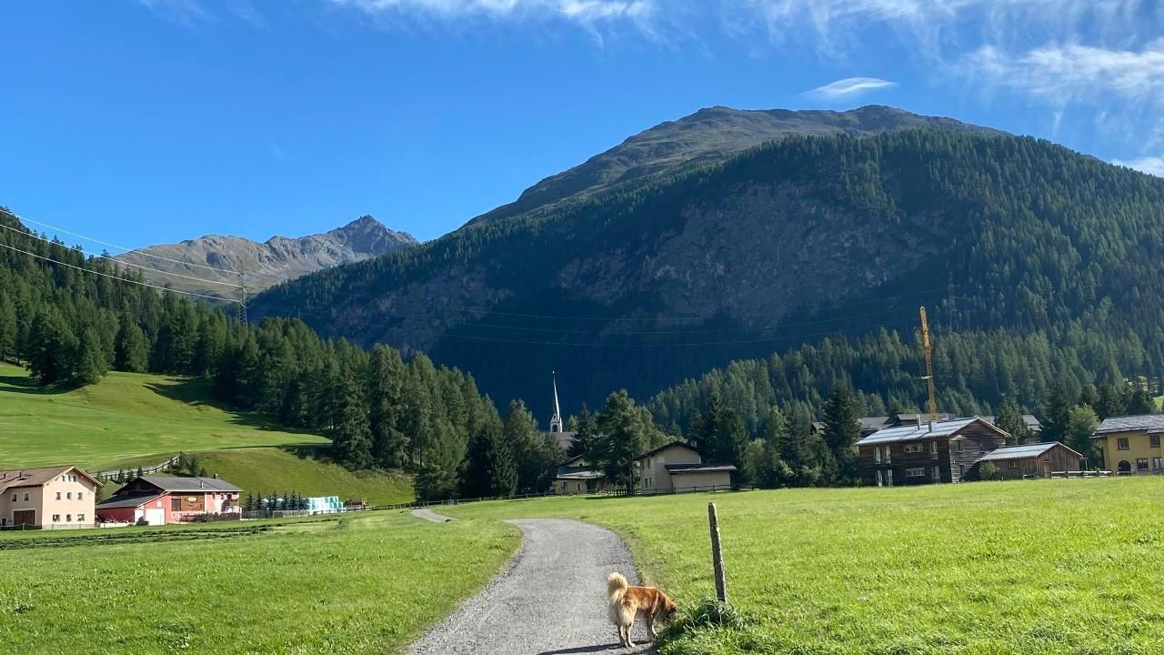 Photo of Others in La Punt-Chamues-ch