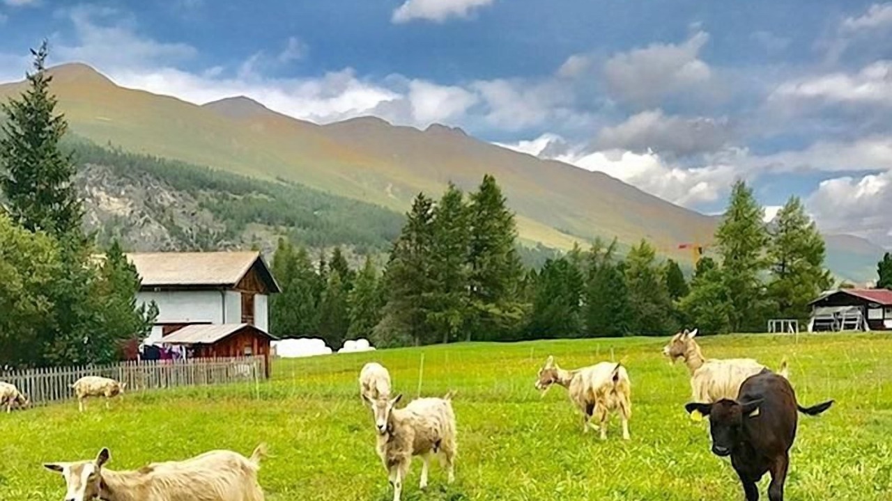 Photo of Outdoor in La Punt-Chamues-ch