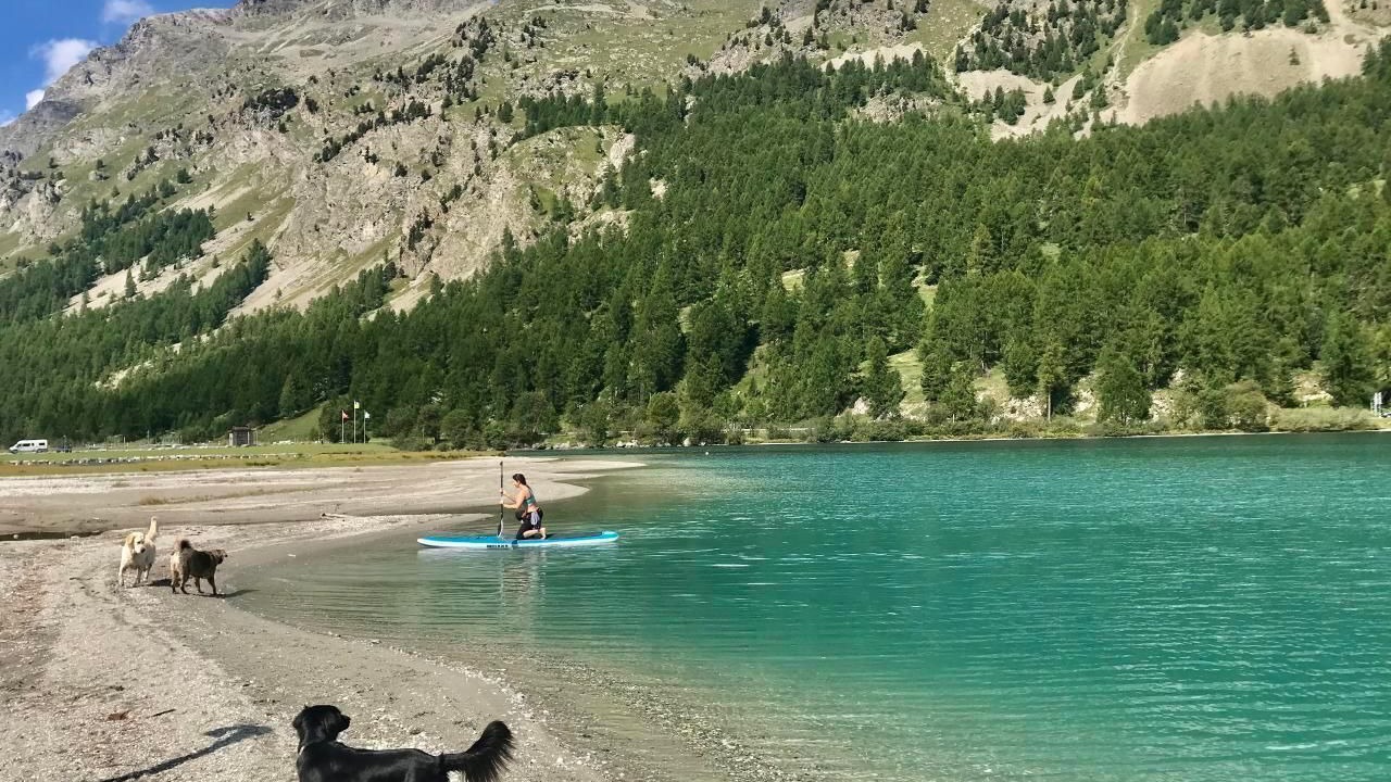 Photo of Others in La Punt-Chamues-ch