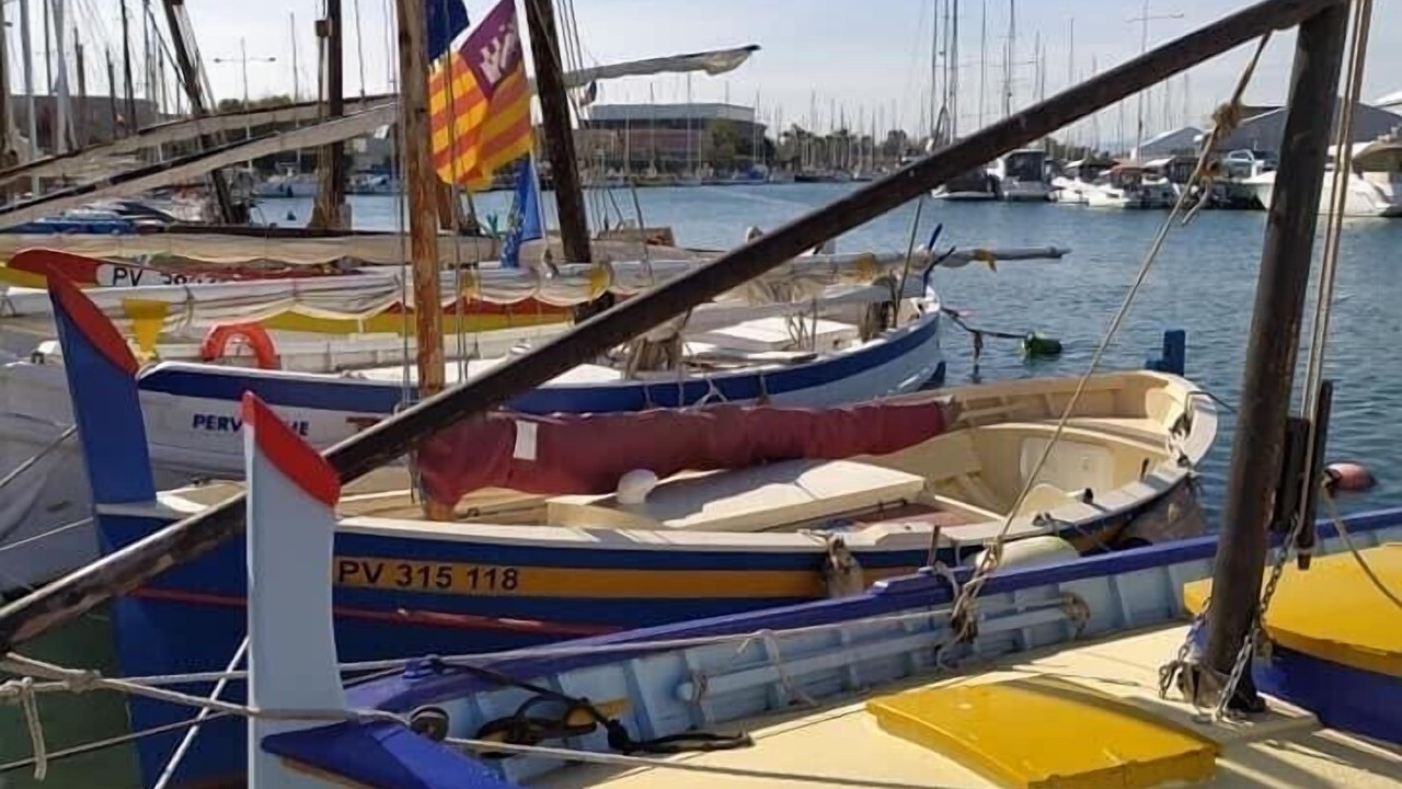Photo of Others in Saint-Cyprien Plage