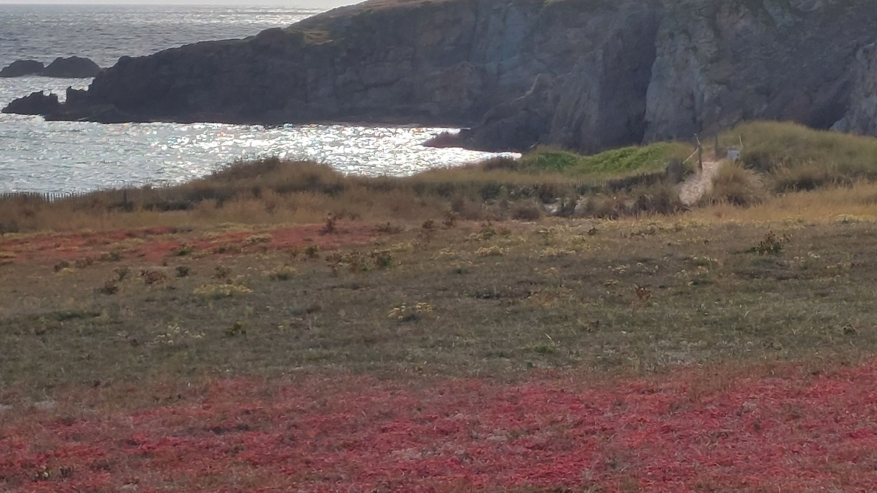 Photo of Others in Saint-Pierre-Quiberon