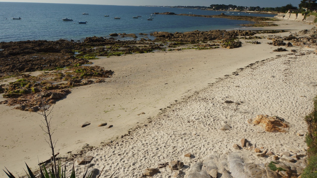 Photo of Others in Saint-Pierre-Quiberon