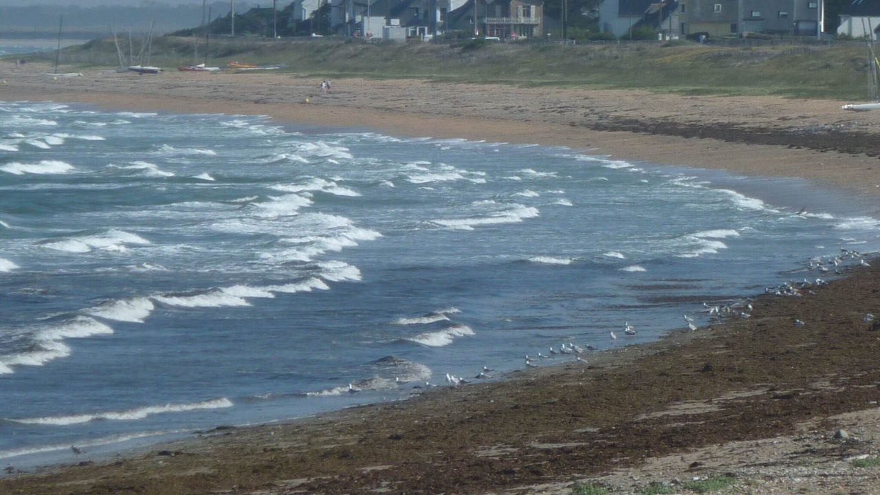 Photo of Others in Saint-Pierre-Quiberon