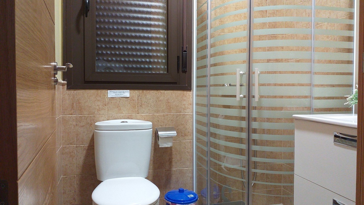 Photo of Bathroom in Candeleda