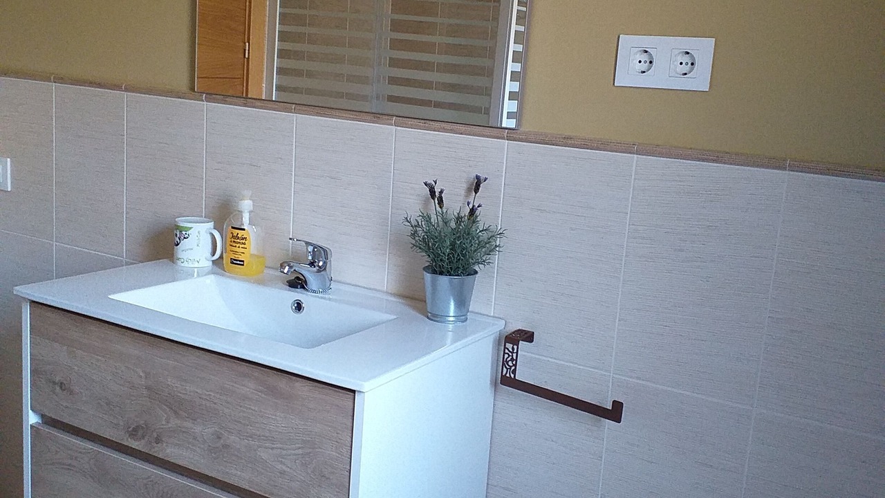 Photo of Bathroom in Candeleda