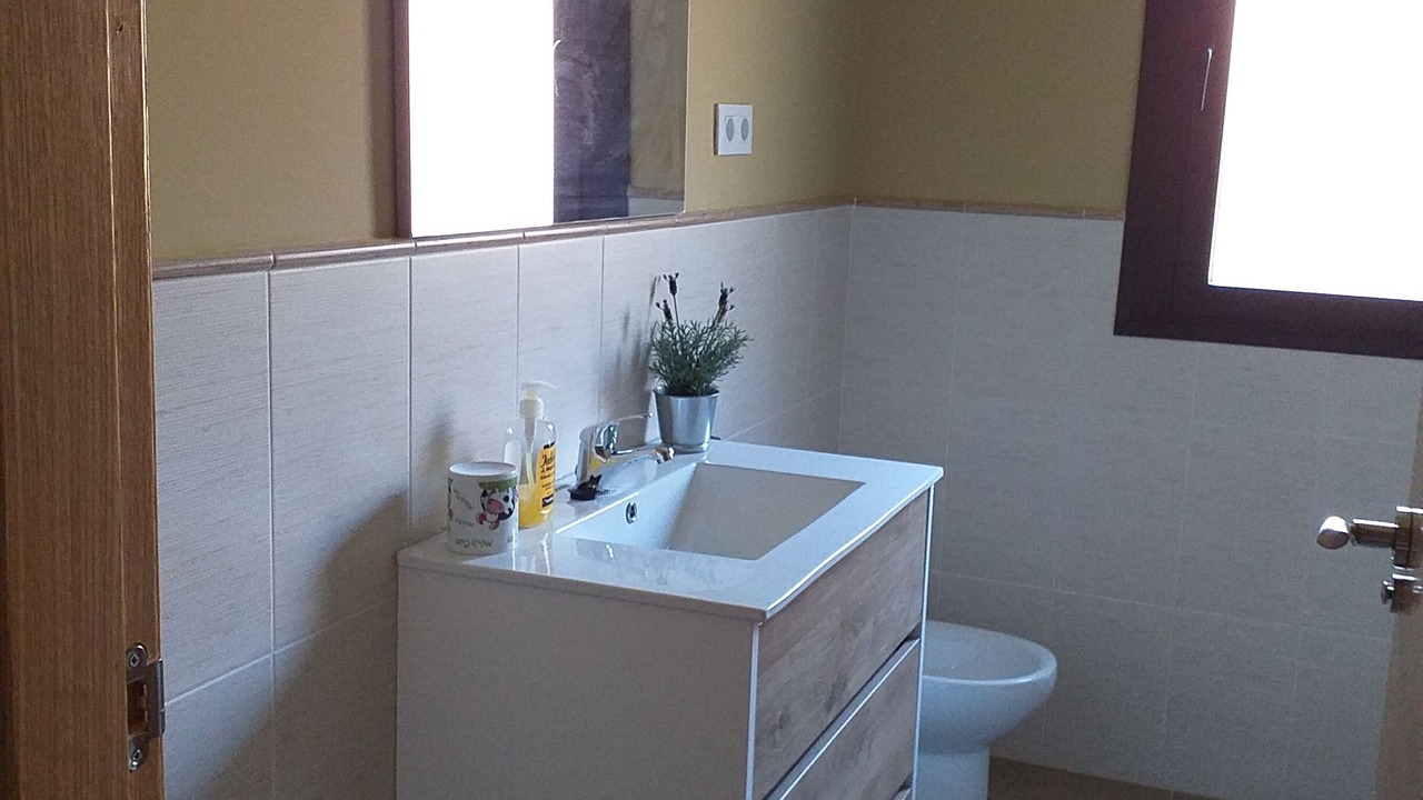 Photo of Bathroom in Candeleda