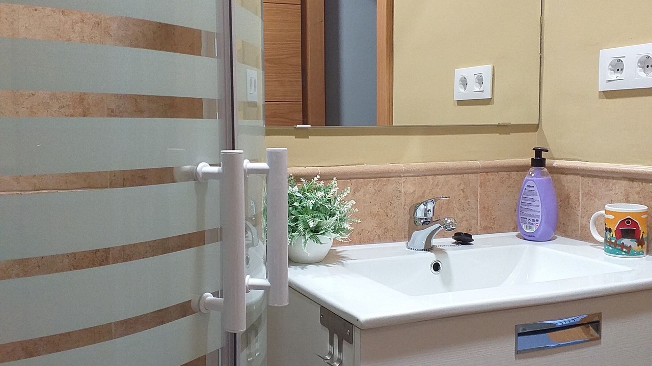 Photo of Bathroom in Candeleda